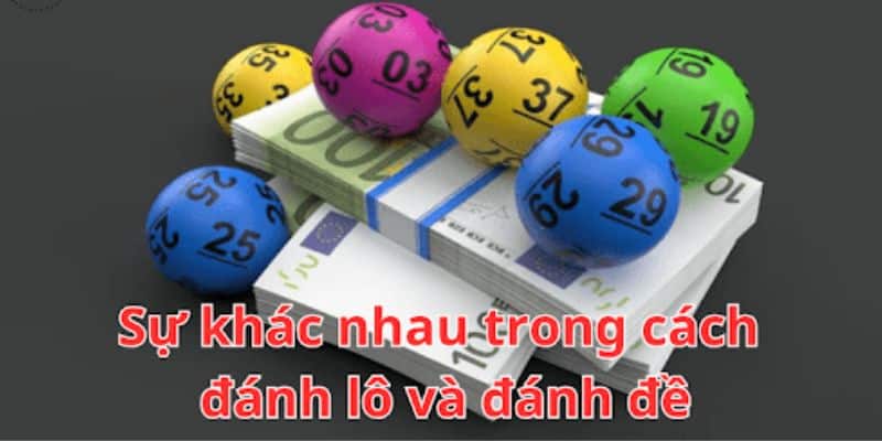 Tham khảo chuyên gia